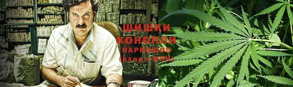 ГАЛЛЮЦИНОГЕННЫЕ ГРИБЫ Куйбышев